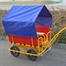 Dach Krippenwagen